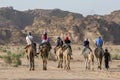 Tourists set off in the late afternoon for a camel ride through Wadi Rum in Jordan.