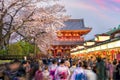 Tourists at shopping street in Asakusa, Tokyo, Japan with sakura trees Japanese letters on the red lantern meaning Ã¢â¬ÅThe name of