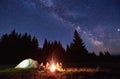 Tourists sitting around bonfire in night forest.