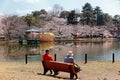 Tourists sitting on a bench by a lake & enjoying the beautiful scenery of cherry blossoms sakura in Omiya Park