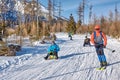 Tourists sking and sledging down 2.5 km-long sledging track from Hrebienok - well known tourist center to Stary Smokovec in Slovak