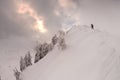 Tourists on a snowy slope Royalty Free Stock Photo