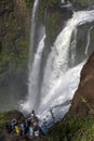 A waterfall on the Argentinian side of Iguazu Falls. Royalty Free Stock Photo