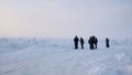 Tourists in a stark winter landscape in northern Canada. Royalty Free Stock Photo