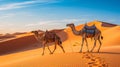Tourists starting hiking excursions with camels against stunning scenic backdrop