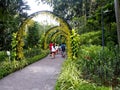 Tourists stroll inside the Singapore Botanic Gardens in Singapore. Royalty Free Stock Photo