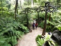 Tourists stroll inside the Singapore Botanic Gardens in Singapore. Royalty Free Stock Photo