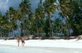 Tourists strolling on a white beach in Zanzibar