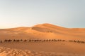 Tourists at sunset on the sand dunes Royalty Free Stock Photo