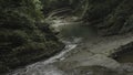 Tourists swim in small lake in forest. Creative. Family bathes in natural water spring in forest. Tourists swim in river Royalty Free Stock Photo