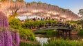 Tourists take pictures on the white wisteria trellis bridge at dusk at Ashikaga Flower Park