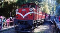 Tourists take a ride on Alishan Mountain train