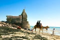 Tourists taking a camel ride