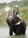 Tourists taking Elephant bath Royalty Free Stock Photo