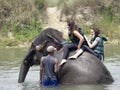 Tourists taking Elephant bath Royalty Free Stock Photo