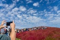 Tourists taking pictures on the Miharashi Hill in the Hitachi Seaside Park during the Red Kochia Carnival.