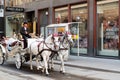 tourists taking a ride in elegant white horse-drawn cart in old town of vienna