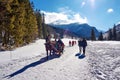 Tourists taking a ride in horse-drawn sledge