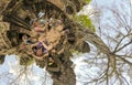 Tourists taking selfies in Ta Prahm, Cambodia