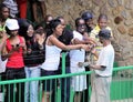 Tourists Touching Python