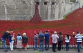 Tourists at the Tower of London Looking at the Poppy Installation