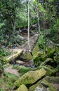 Tourists trekking at the forest in Bali, Indonesia