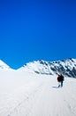 Tourists trekking at Jungfrau, Swiss Alps of Switzerland.