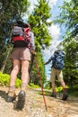 Tourists with trekking poles from behind Royalty Free Stock Photo