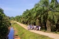 Excursion to Banana plantations Royalty Free Stock Photo