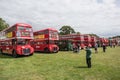 Tourists view a row of Red double decker London Routemaster iconic classic vintage double decker buses at a rally event