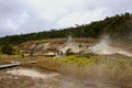 Tourists view the Sulphur banks that can be found walking along the boardwalk in Volcanoes National Park