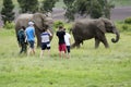 Tourists viewing African elephants in South Africa