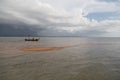 Tourists visit Golden Scale Dragon Spine Beach