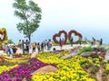 Tourists visit, have fun, take photos in colorful flower garden