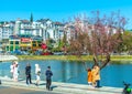 Tourists visit and take pictures by cherry apricot trees along the banks