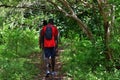 Tourist in Jozani forest. Zanzibar, Tanzania, Africa