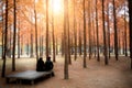 Tourists visiting the beautiful in autumn around Nami Island in
