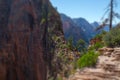 Tourists and visitors of the Zion National Park Royalty Free Stock Photo