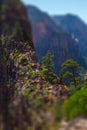 Tourists and visitors of the Zion National Park Royalty Free Stock Photo