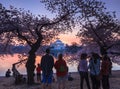 Tourists Wait for Sunrise Washington DC Cherry Blossom Festival