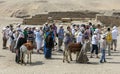 Tourists wait to enter the ancient site of Saqqara in Egypt.