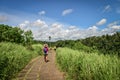 Tourists walk along the beautiful Campuhan Ridge Walk