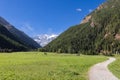 Tourists walk along the path on the famous Alpine Saint Orso meadow surrounded by mountain slopes covered with pine forest Royalty Free Stock Photo