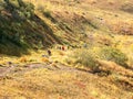 Tourists walk along the Vachkazhets ridge. Kamchatka Peninsula, Russia