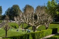 Tourists walk in Boboli Gardens. Florence, Tuscany, Italy Royalty Free Stock Photo