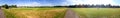 Tourists walk in Hyde Park, panoramic view, London Royalty Free Stock Photo