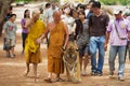 Tourists walk with tiger handled by Abbot Phra Acharn Phoosit Khantidharo in Tiger Temple Kanchanaburi, Thailand.