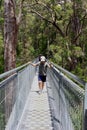 Tourists walk the Tree Top Walk in Walpole Nornalup, Western Australia