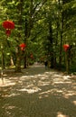 Tourists walking on the alley in the Lazienki Royal Park in Wars