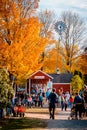 Tourists walking around an orchard in autumn in Grand Rapids Michigan